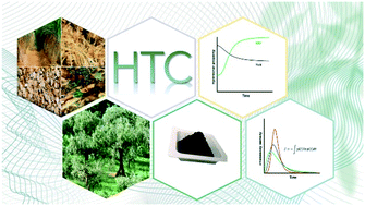 Graphical abstract: Modeling biomass hydrothermal carbonization by the maximum information entropy criterion