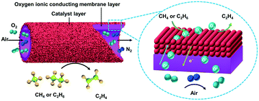 Graphical abstract: Catalytic ceramic oxygen ionic conducting membrane reactors for ethylene production
