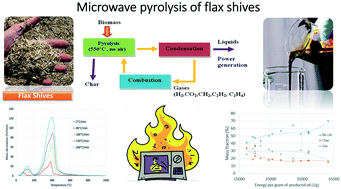 Graphical abstract: Energy optimization of bio-oil production from biomass by fast pyrolysis using microwaves