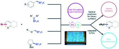 Graphical abstract: Increasing saturation: development of broadly applicable photocatalytic Csp2–Csp3 cross-couplings of alkyl trifluoroborates and (hetero)aryl bromides for array synthesis