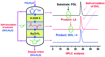 Graphical abstract: Highly effective production of levulinic acid and γ-valerolactone through self-circulation of solvent in a continuous process