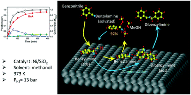 Graphical abstract: Highly selective production of benzylamine from benzonitrile on metal-supported catalysts