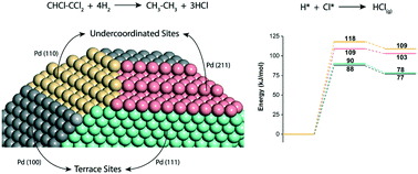 Graphical abstract: Understanding the origin of structure sensitivity in hydrodechlorination of trichloroethylene on a palladium catalyst