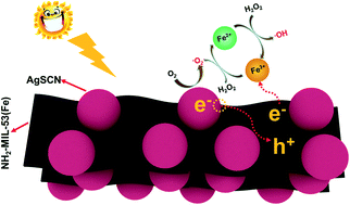 Graphical abstract: Facile synthesis of novel NH2-MIL-53(Fe)/AgSCN heterojunction composites as a highly efficient photocatalyst for ciprofloxacin degradation and H2 production under visible-light irradiation