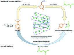 Graphical abstract: Insights into cascade and sequential one-pot pathways for reductive amination of aldehydes paired with bio-derived levulinic acid to N-substituted pyrrolidones using molecular hydrogen