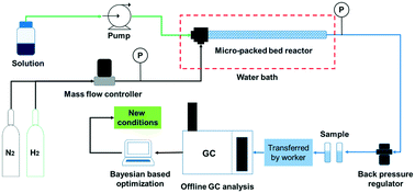 Graphical abstract: Bayesian based reaction optimization for complex continuous gas–liquid–solid reactions