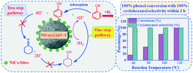 Graphical abstract: Hydrogenation of phenol to cyclohexanol using carbon encapsulated Ni–Co alloy nanoparticles