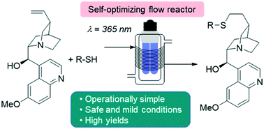 Graphical abstract: Developing flow photo-thiol–ene functionalizations of cinchona alkaloids with an autonomous self-optimizing flow reactor