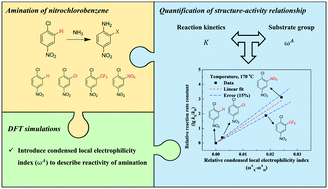 Graphical abstract: How the substrate affects amination reaction kinetics of nitrochlorobenzene