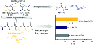 Graphical abstract: Boosting PLA melt strength by controlling the chirality of co-monomer incorporation