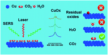 Graphical abstract: The in situ study of surface species and structures of oxide-derived copper catalysts for electrochemical CO2 reduction