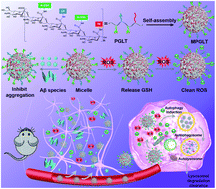 Graphical abstract: Multifunctional peptide-assembled micelles for simultaneously reducing amyloid-β and reactive oxygen species