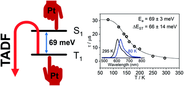 Graphical abstract: Exceptionally fast radiative decay of a dinuclear platinum complex through thermally activated delayed fluorescence