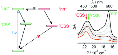 Graphical abstract: Long-lived triplet charge-separated state in naphthalenediimide based donor–acceptor systems