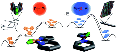 Graphical abstract: Tuning energy landscapes and metal–metal interactions in supramolecular polymers regulated by coordination geometry