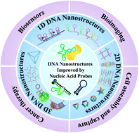 Graphical abstract: DNA nanostructure-based nucleic acid probes: construction and biological applications