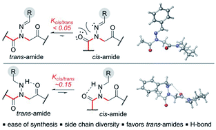 Graphical abstract: Submonomer synthesis of peptoids containing trans-inducing N-imino- and N-alkylamino-glycines