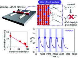 Graphical abstract: The impact of surface Cu2+ of ZnO/(Cu1−xZnx)O heterostructured nanowires on the adsorption and chemical transformation of carbonyl compounds