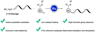 Graphical abstract: Deaminative meta-C–H alkylation by ruthenium(ii) catalysis
