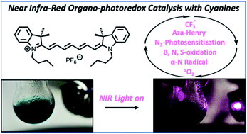 Graphical abstract: Cyanine-based near infra-red organic photoredox catalysis