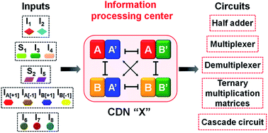 Graphical abstract: DNA-based constitutional dynamic networks as functional modules for logic gates and computing circuit operations