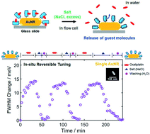 Graphical abstract: In situ reversible tuning of chemical interface damping in single gold nanorod-based recyclable platforms through manipulation of supramolecular host–guest interactions