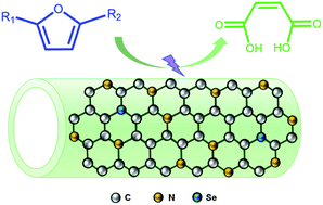 Graphical abstract: Robust selenium-doped carbon nitride nanotubes for selective electrocatalytic oxidation of furan compounds to maleic acid