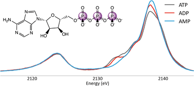 Graphical abstract: Phosphorus Kβ X-ray emission spectroscopy detects non-covalent interactions of phosphate biomolecules in situ