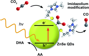 Graphical abstract: Imidazolium-modification enhances photocatalytic CO2 reduction on ZnSe quantum dots