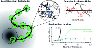 Graphical abstract: Formally exact simulations of mesoscale exciton dynamics in molecular materials