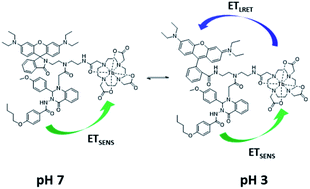 Graphical abstract: Long-lived lanthanide emission via a pH-sensitive and switchable LRET complex