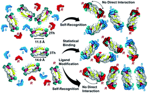 Graphical abstract: Helix-mediated over 1 nm-range chirality recognition by ligand-to-ligand interactions of dinuclear helicates