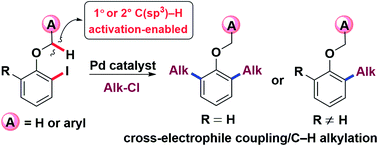 Graphical abstract: Pd-catalyzed cross-electrophile Coupling/C–H alkylation reaction enabled by a mediator generated via C(sp3)–H activation