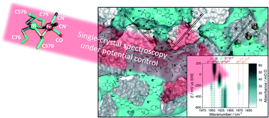 Graphical abstract: The crystalline state as a dynamic system: IR microspectroscopy under electrochemical control for a [NiFe] hydrogenase