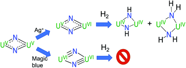 Graphical abstract: Synthesis, structure, and reactivity of uranium(vi) nitrides