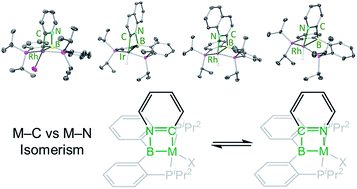 Graphical abstract: Cooperative C–H activation of pyridine by PBP complexes of Rh and Ir can lead to bridging 2-pyridyls with different connectivity to the B–M unit