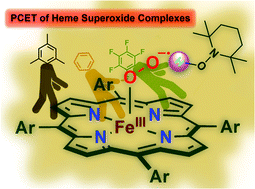 Graphical abstract: Proton-coupled electron transfer reactivities of electronically divergent heme superoxide intermediates: a kinetic, thermodynamic, and theoretical study