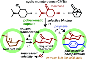 Graphical abstract: Cyclic monoterpenes trapped in a polyaromatic capsule: unusual selectivity, isomerization, and volatility suppression