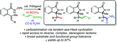 Graphical abstract: Tandem aza-Heck Suzuki and carbonylation reactions of O-phenyl hydroxamic ethers: complex lactams via carboamination