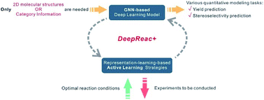 Graphical abstract: DeepReac+: deep active learning for quantitative modeling of organic chemical reactions