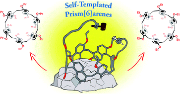 Graphical abstract: An intramolecularly self-templated synthesis of macrocycles: self-filling effects on the formation of prismarenes