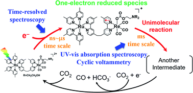Graphical abstract: Mechanistic study of photocatalytic CO2 reduction using a Ru(ii)–Re(i) supramolecular photocatalyst