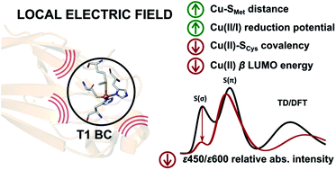 Graphical abstract: Electrostatic regulation of blue copper sites