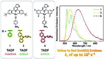 Graphical abstract: Molecular design of efficient yellow- to red-emissive alkynylgold(iii) complexes for the realization of thermally activated delayed fluorescence (TADF) and their applications in solution-processed organic light-emitting devices