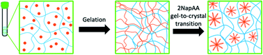 Graphical abstract: Exploiting and controlling gel-to-crystal transitions in multicomponent supramolecular gels