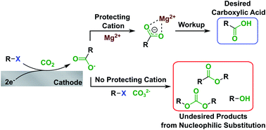 Graphical abstract: Suppressing carboxylate nucleophilicity with inorganic salts enables selective electrocarboxylation without sacrificial anodes