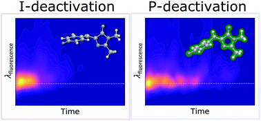 Graphical abstract: Resolving the ultrafast dynamics of the anionic green fluorescent protein chromophore in water