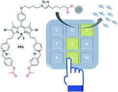 Graphical abstract: A therapeutic keypad lock decoded in drug resistant cancer cells