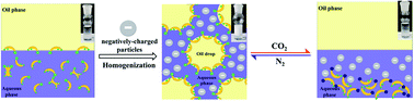 Graphical abstract: Conversion of bile salts from inferior emulsifier to efficient smart emulsifier assisted by negatively charged nanoparticles at low concentrations