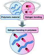 Graphical abstract: Halogen bonding in polymer science: towards new smart materials
